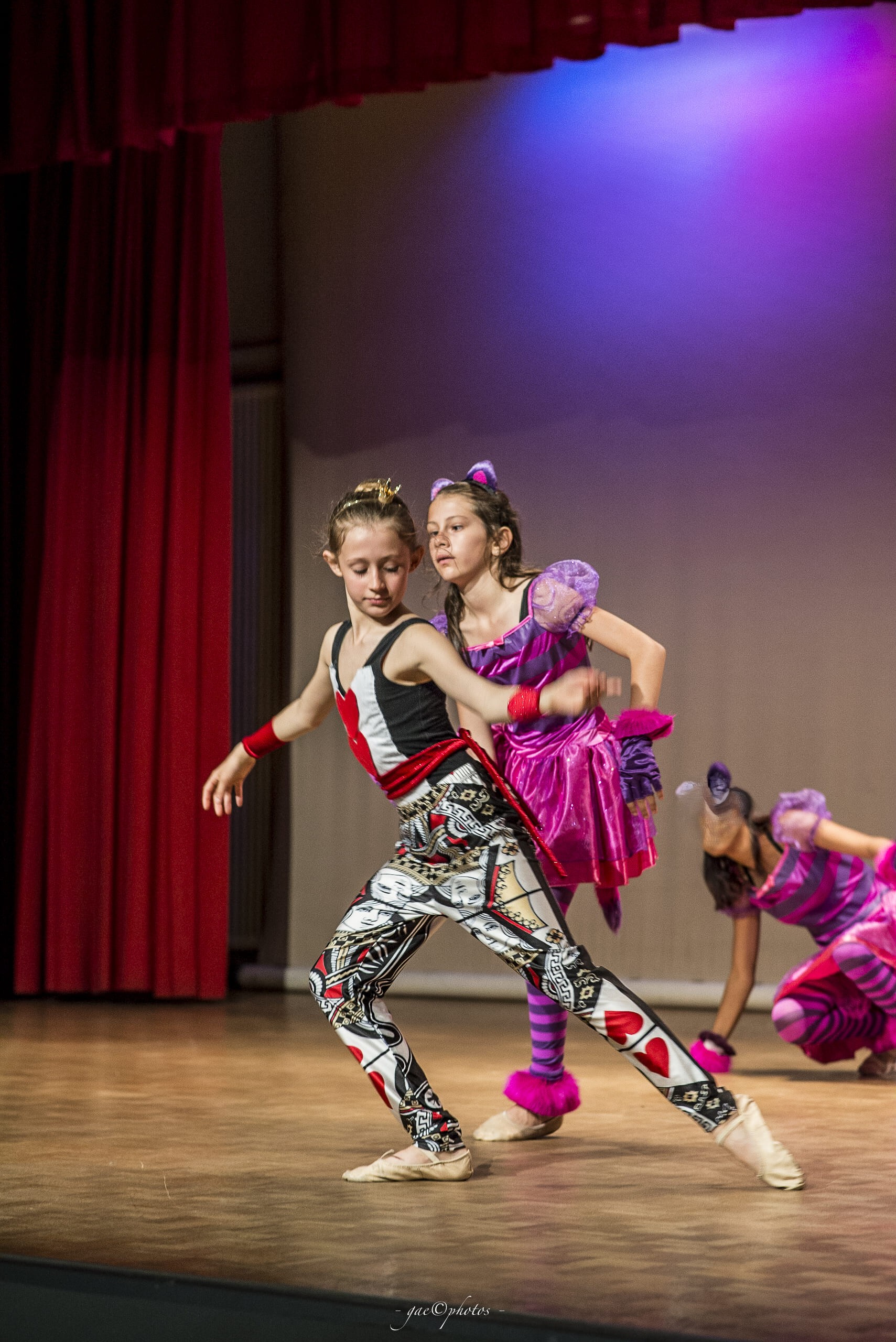 Spettacolo di danza organizzato da DanzArte
