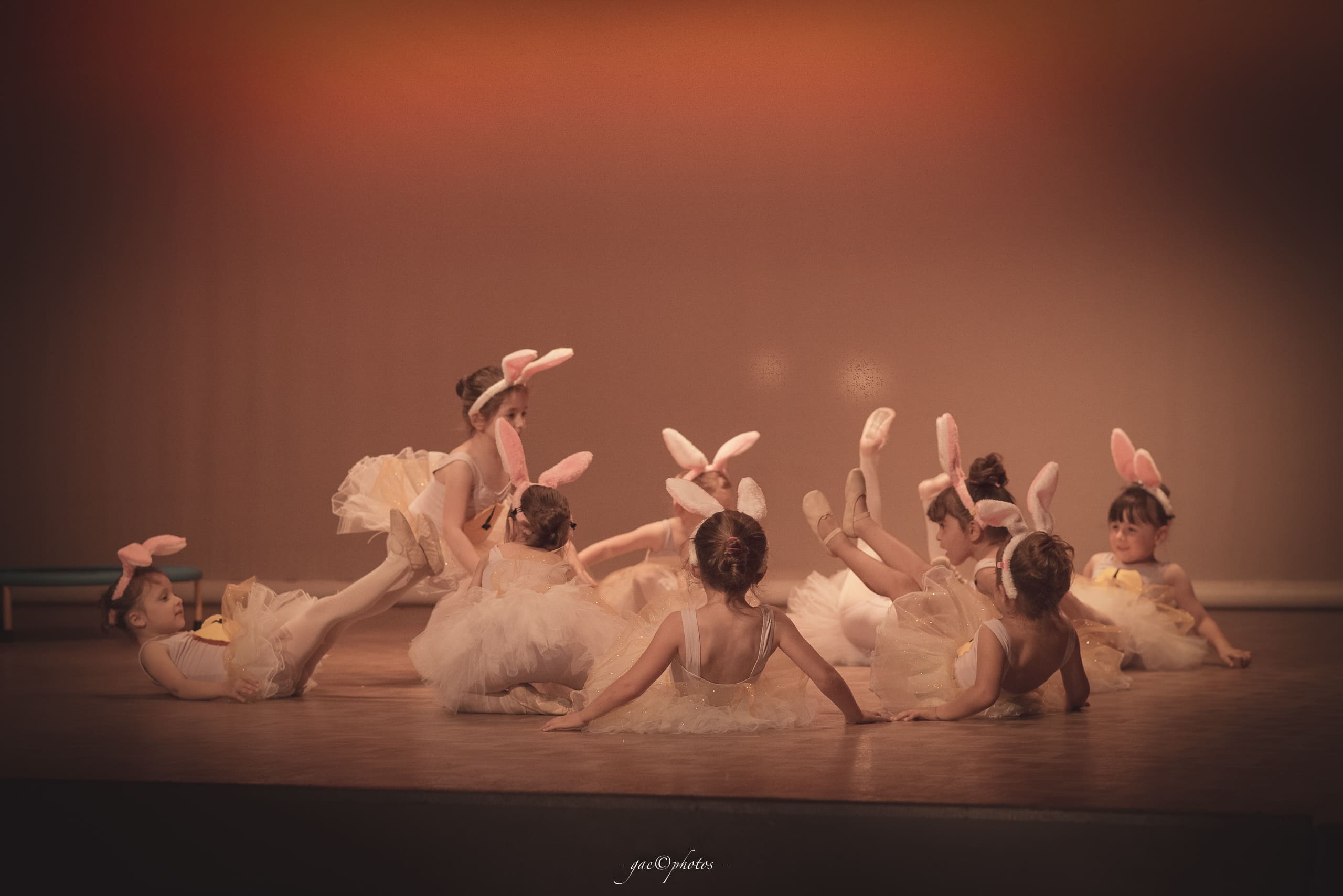 Spettacolo di danza organizzato da DanzArte
